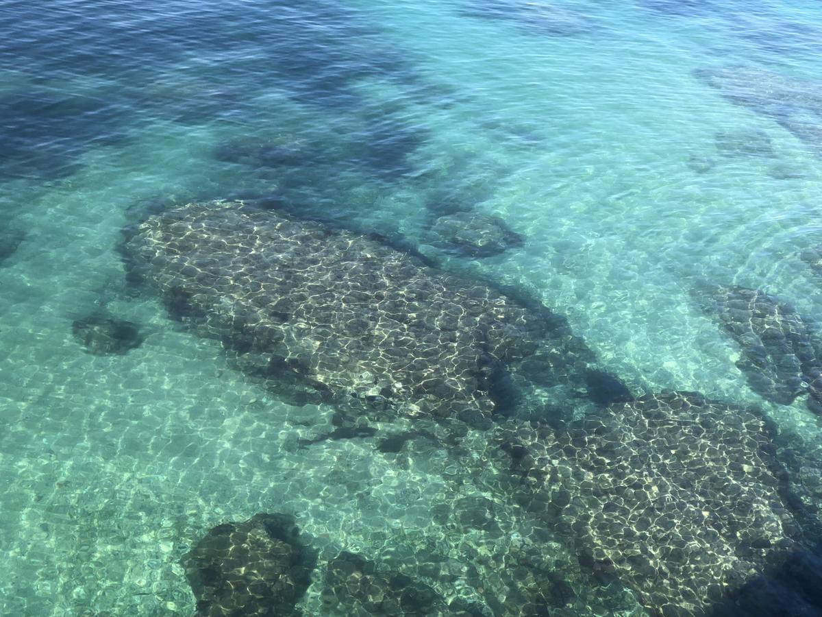 B&B Ortigia Sea View Siraküza Dış mekan fotoğraf
